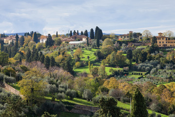 Fototapeta na wymiar above view of green gardens in suburb of Florence