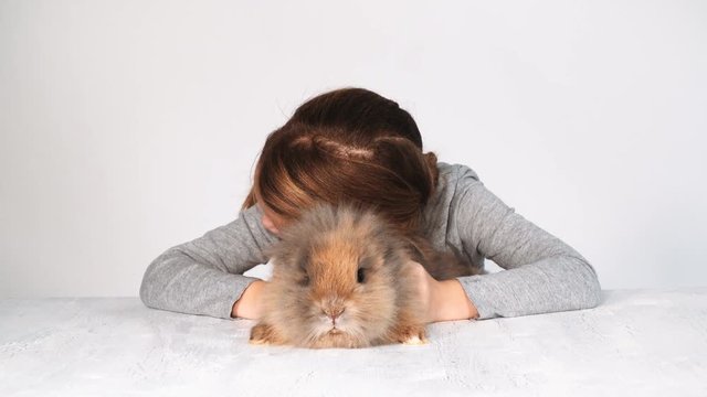 blondes m&auml;dchen spielt mit kaninchen indoor