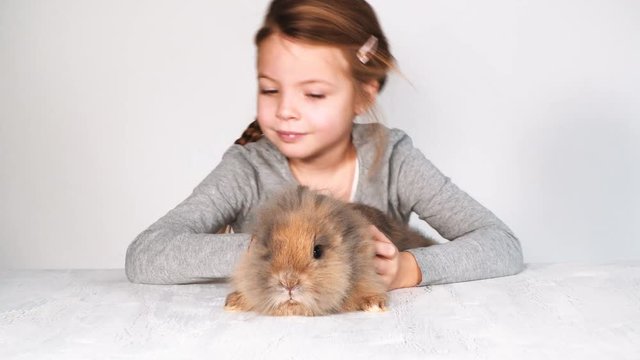 blondes m&auml;dchen spielt mit kaninchen indoor