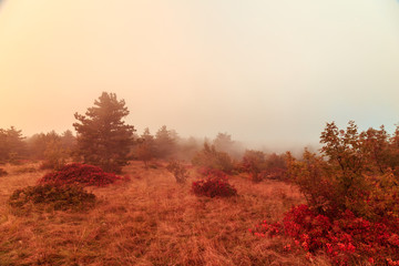 Foggy autumn evening in Val Rosandra