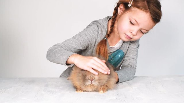 blondes m&auml;dchen spielt mit kaninchen indoor