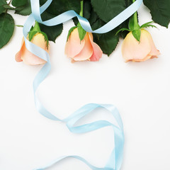 Delicate petals of a rose with blue ribbon