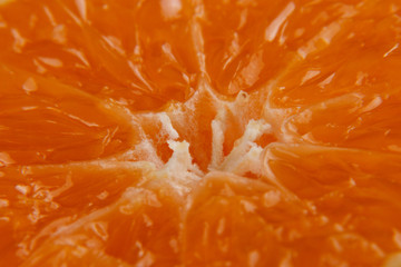 Macro texture of sliced mandarin/citrus background