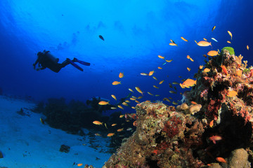 Fototapeta na wymiar Scuba divers exploring coral reef