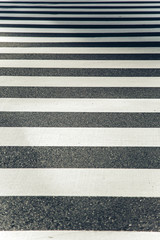 Fototapeta premium Zebra crossing