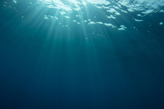 Underwater background in ocean