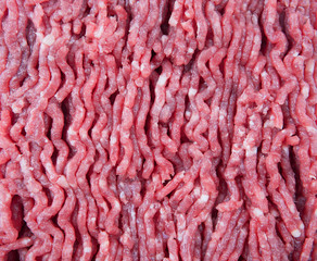 Fresh ground beef. Cooking cutlets and hamburgers.