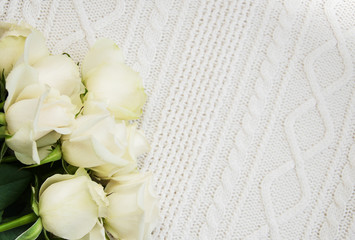 roses on a knitted white background