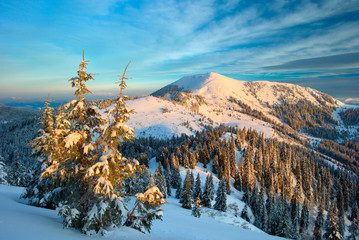 Winter Carpathian mountains and fog with beautiful sunlight. Trees covered with snow.