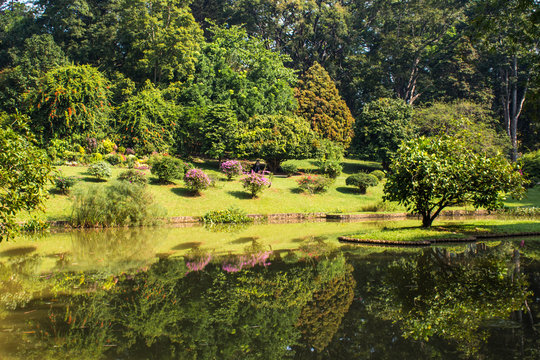 Botanical Garden of Peradeniya, Kandy or Royal Botanical Gardens