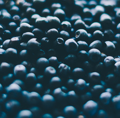 Obraz premium Fresh Blueberry Background