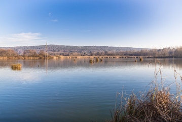 Fototapeta na wymiar Marsh of Mercallo, portion of Lake Comabbio between Corgeno and Mercallo, province of Varese, Italy 