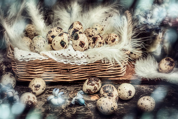 Easter Quail eggs in Basket with hyacinths flowers on dark wooden background