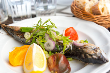 Fototapeta na wymiar grilled seafood and vegetables-french cuisine dish with many veg