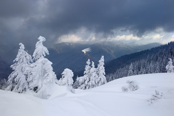 Winter in the Carpathian mountains