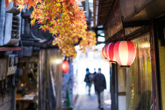 Restaurant street decorated with red leaf in Tokyo