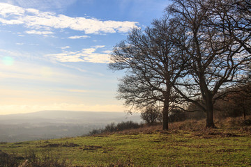 Misty view from Colley Hill, Surrey