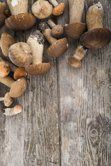 Raw mushrooms on a wooden table. Boletus edulis and chanterelles