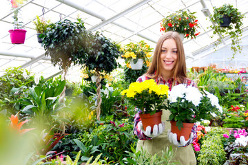 Working in the greenhouse