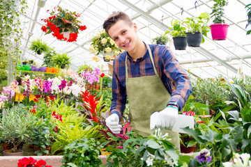 Working in the greenhouse