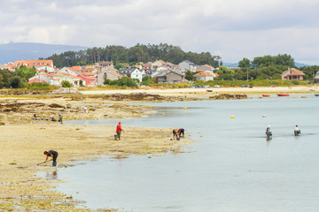 Shellfish fisher women on Vao beach