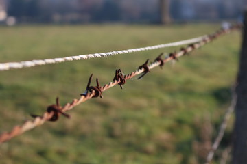 Obraz premium Barbelés