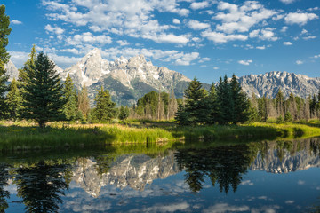 Schwabacher's Landing, Grand Teton NP, Wyoming, USA