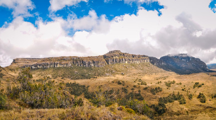 Hillside with rocks