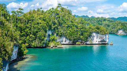 Fototapeta na wymiar Rocks Landscape in Kabui Bay near Waigeo. West Papuan, Raja Ampat, Indonesia
