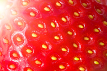 Fresh ripe strawberries. background