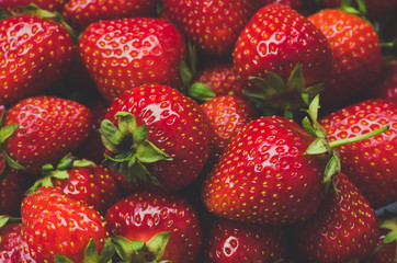 Fresh ripe strawberries. Blue toning, background