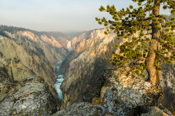 Sunrise in the Grand Canyon of Yellowstone from Artist Point