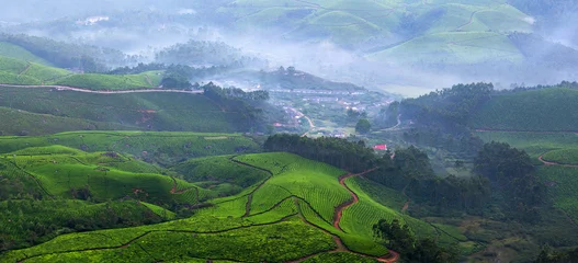Fotobehang Tea plantations in Kerala, South India © Zzvet