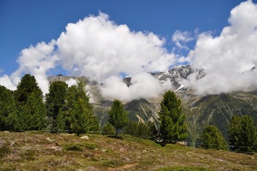 Die Natur genie&szlig;en