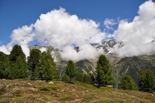 Die Natur genie&szlig;en