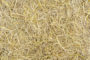 Pile of dry rice chaff