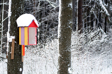 Fototapeta premium bird house on a tree