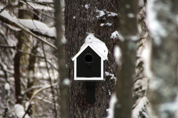 bird house on a tree