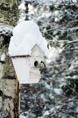 bird house on a tree