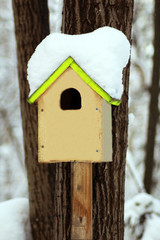 bird house on a tree