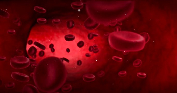 red blood cells animation in an artery, flow inside body, medical human health-care