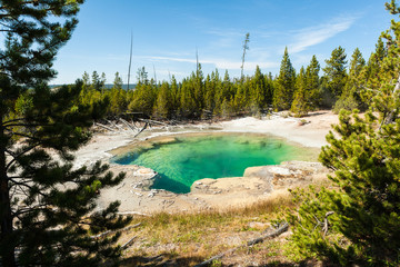 Emerald Spring, Norris Geyser Basin