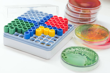 Microbank tubes for keep isolated pathogen in freezer.