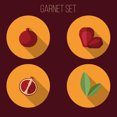 garnet set pomegranate seed leaf leaves icon vector illustration red green half