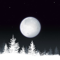 Snow Winter Night Background