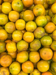 Mound Orange tangerine