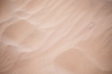 sand background