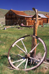 Fototapeta premium Bodie