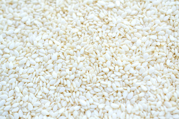 sesame white seed