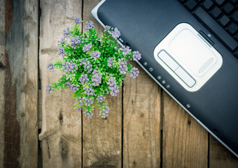 Laptop with touchpad and flower on wooden background
